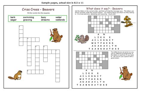 beaver like animal crossword clue